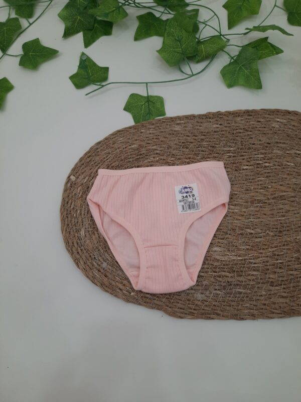 KIZ ÇOCUK SLİP KÜLOT 3-10 YAŞ